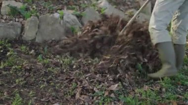 Tanınmayan bir adamın elleri yaprakları tırmıklıyor - yatay 4K