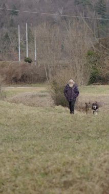 Yaşlı bir çoban, iki köpeği FHD dikey video ile yaklaşıyor.
