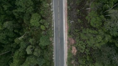 Vietnam 'daki ağaçlar ve bitki örtüsü arasında uzanan yolun sabit tepe görüntüsü - 4K Yatay video