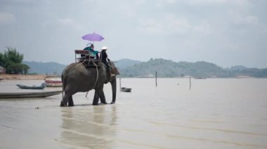 Ağır çekimde Asya fili gölün sularına giriyor. Sırtında şemsiyeyle iki Vietnamlı turist var. 4K yatay video.