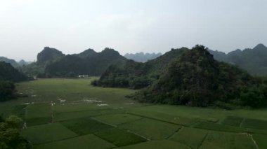 Hanoi Vietnam 'daki yemyeşil dağların yakınındaki ıslak ekin tarlalarının üzerinde yükselen İHA - 4K Yatay Video