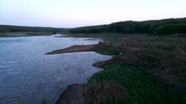 İnsansız hava aracı, doğanın ortasında, Vietnam 'daki Long Thanh Gölleri yakınlarındaki büyük bir gölün kıyısında uçuyor.