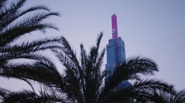 Ho chi minh şehri HCMC Saigon vietnam 'daki büyük 81 gökdelen binası gün batımında palmiye ağaçları arasında - 4K Horizontal