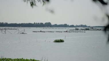 Uzakta bir balıkçı, vietnam Gölü 'nde bir balık çiftliğinde ağla balık yakalar - 4K Yatay