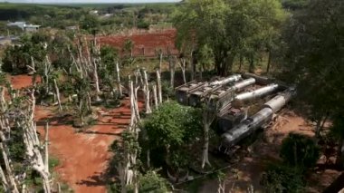 İnsansız hava aracı, Vietnam 'daki yolun yakınındaki dev bonsai çocuk yuvasında uçuyor. 4K Yatay