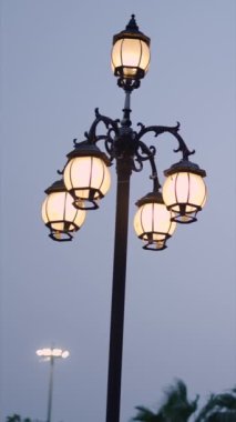 Uçurtmalar kong vien vinhouse 'ların ışıklarının üzerinde uçuyor Central Park alacakaranlıkta ho chi minh şehrinde Saigon vietnam - FullHD Dikey