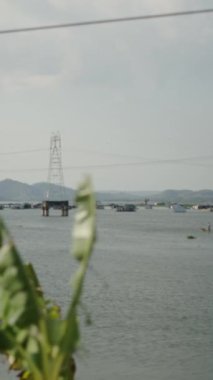 Tri Gölü kıyısındaki palmiye yaprakları deniz kenarındaki elektrik kablolarının yanındaki Vietnam Gölü FullHD dikey