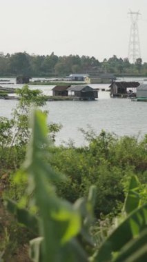 Suyun ortasında yüzen evler, vietnam Gölü, palmiye ağaçları ve bitkilerle çevrili.