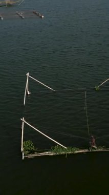 İnsansız hava aracı, vietnam Gölü 'ndeki bir balık çiftliğinde kamış ve iplerden oluşan bir balık çiftliğinde daireler çiziyor.