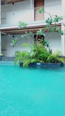 Ağır çekim Asyalı kız, yağmurlu bir günde Bangkok Tayland 'da havuzda tek başına yüzüyor.