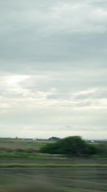 Valencia 'daki bazı tarlaların görüntüsü FullHD Dikey