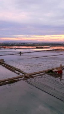 Pirinç tarlalarında güzel bir günbatımının hava manzarası - FullHD Dikey