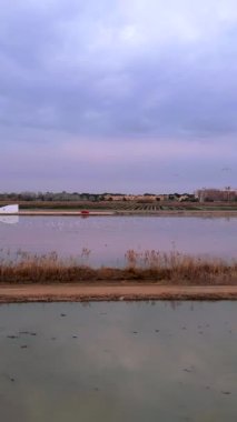 İnsansız hava aracı pirinç tarlalarının derinliklerine iniyor - FullHD Dikey