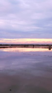 Albufera alanlarının gökyüzünden görünüm - FullHD Dikey