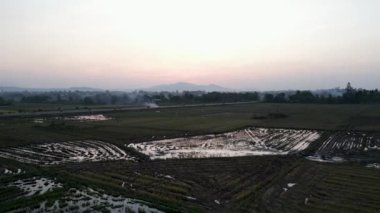 Motosikletler, Vietnam 'da alacakaranlıkta ekin tarlalarından geçiyor - 4K Yatay