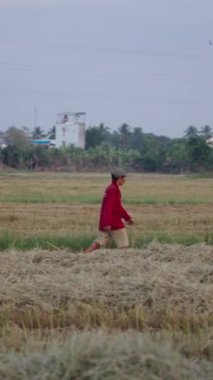 Ağır çekimde, kafasında şapkası olan genç bir köylü Vietnam 'da çim biçerek yürüyordu.