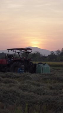 Ağır çekimde iki genç çiftçi, alacakaranlıkta Vietnam meydanında, traktörün yanında çok sıkı çalışıyorlar.