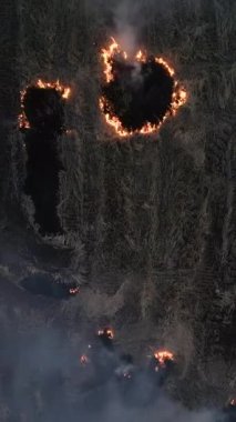 Vietnam 'daki büyük bir ekin tarlasında alacakaranlıkta çalıların yanmasından gelen ateşin yukarıdan gelen görüntüsü.