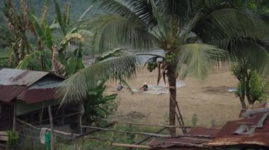 Vietnamlı çiftçiler kırsal bir alanda meyve ağaçları ve evcil hayvanlarla tahıl işletiyorlar - 4K Yatay