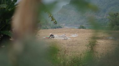 Kadın çiftçi, Vietnam 'da orman ve nehir arasında kırsal bir alanda bir tarlada elek ile tahıl elemek için yere çömeliyor - 4K
