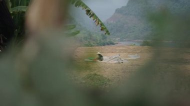 Kadın çiftçi, Vietnam 'da dağların ve nehrin yakınındaki bir tarlada elek ile tahıl elemek için yere çömeliyor - 4K Yatay