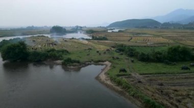 Vietnam 'ın dağları ve vadileri arasındaki kuş bakışı bir nehir ve ekin tarlaları - 4K Yatay