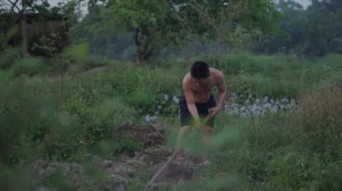 Asyalı çiftçi, Vietnam 'da çok sıcak bir günde alacakaranlıkta çapayla tarlada çalışıyor. 4K Yatay