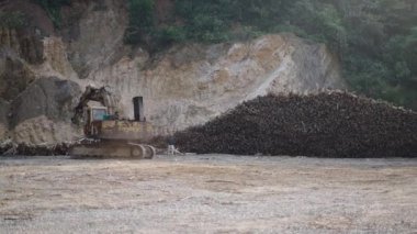 Vietnam 'da kesilmiş ağaç gövdelerini taşımak için kullanılan paslı vinç - 4K Yatay
