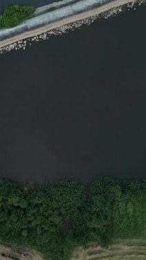 Vietnam 'da nehrin kıyısındaki ekinlerin üzerinde yavaşça uçan bir İHA' dan zenital atış.