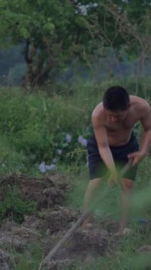 Asyalı çiftçi, Vietnam 'da çok sıcak bir günde alacakaranlıkta çapayla tarlada çalışıyor.