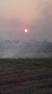 Vietnam 'da ekin tarlalarında güneş batarken otlar ateşle yakılır.