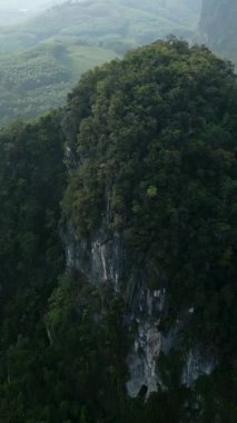 Vadinin panoramik manzarası ve Vietnam 'ın doğasındaki bitki örtüsüyle dolu dağlar.