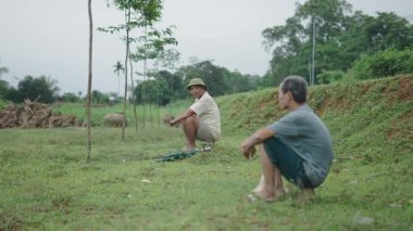 Sığır çobanları Vietnam 'ın kırsal kesimindeki küçük taşların üzerinde dinleniyorlar - 4K Yatay