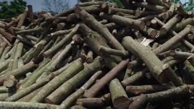 Ağaç gövdeleri ve dalları, Vietnam 'da bir açık hava ahşap deposunda kesilip istiflenmiş - 4K Yatay