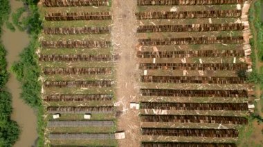 Vietnam 'daki insansız hava aracı görüntülerinden marangozhanenin dışında depolanan kalasların zenital görüntüsü - 4K Yatay