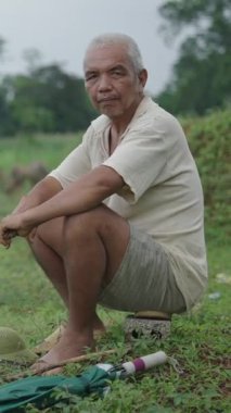 Vietnam 'da sığırların yakınındaki küçük bir taşın üzerinde oturan beyaz saçlı Asyalı olgun bir adam.