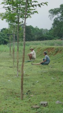 Çobanlar ve çiftçiler dinlenirken sığırlar Vietnam 'ın kırsal kesimlerinde özgürce otluyor.