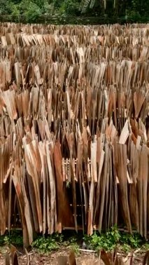 İnsansız hava aracı Vietnam 'daki yolun yanındaki tahta ambarın üzerinde uçuyor.