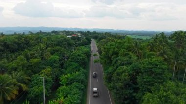Kırsal bir yolda, tropik bir ormandan geçen arabalar - 4K Yatay