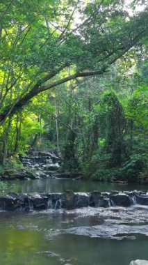 Tayland 'daki ağaçların arasında bir sürü kayalık ve şelale bulunan sakin nehir FullHD Dikey