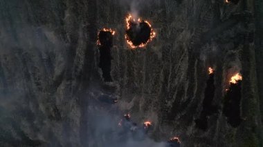 Vietnam 'daki büyük bir ekin tarlasında alacakaranlıkta çalıların yanmasından gelen ateşin yukarıdan gelen görüntüsü - 4K Yatay