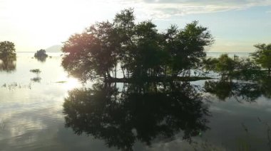 Güneş batarken Tayland 'da Pasak Chonlasit Gölü' nün sakin sularında parlar.