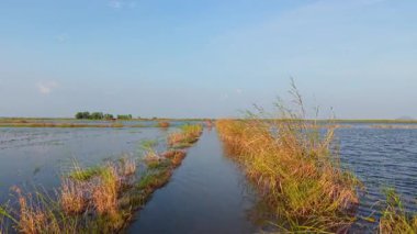 Nehrin sakin suları, güneşli bir günde sanayi binaları ve yemyeşil bitki örtüsünün yanında akar. 4K Yatay
