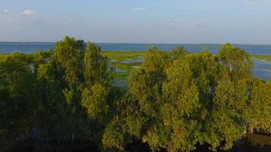 Gün batımında renkli gökyüzünü yansıtan sakin otlaklar - 4K yatay görüntü