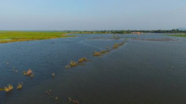 Su basmış pirinç tarlaları, su üzerindeki güneş ışığını yansıtan küçük bir barakanın etrafını sarıyor - 4K Yatay