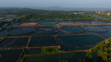 Sürdürülebilir karides üretimi için çok sayıda göleti olan geniş bir çiftlik - 4K Yatay