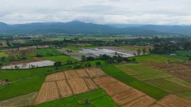 Tarımsal bir bölgedeki bir ovada su basmış pirinç tarlaları - 4K Yatay