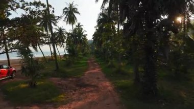 Palmiye ağaçlarının arasından geçen kırmızı toprak yol Chumphon, Tayland 'daki güzel ao thung Makham plajına çıkar - 4k yatay
