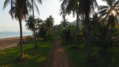 Hindistan cevizi palmiyeleri arasında, Chumphon, Tayland 'da sakin bir plaja doğru, kırmızı bir toprak yolda motosiklet yolculuğu - 4k yatay