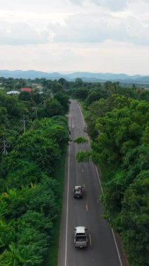 Kırsal bir yolda, tropik bir ormandan geçen arabalar FullHD Dikey